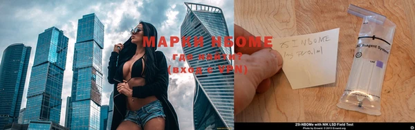 apvp Пересвет