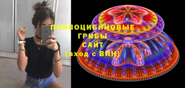apvp Пересвет