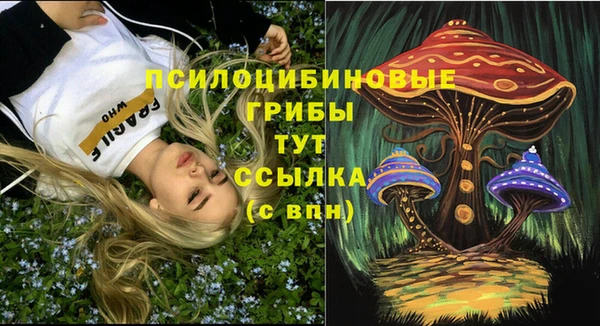 крисы Переславль-Залесский