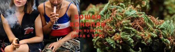 крисы Переславль-Залесский
