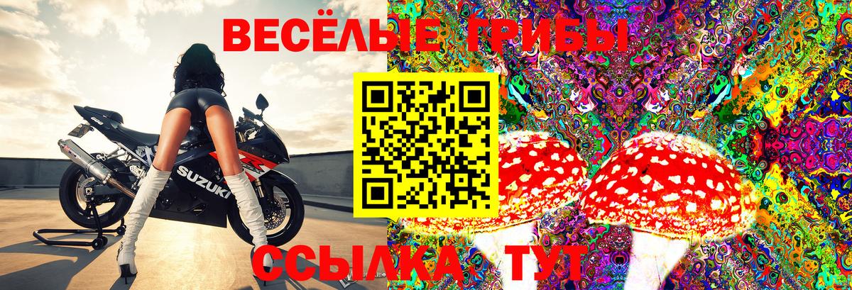 Галлюциногенные грибы мицелий  Вход с VPN  Шарыпово 